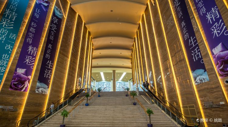 苏州苏州文化艺术中心攻略-苏州文化艺术中心门票价格多少钱-团购票价