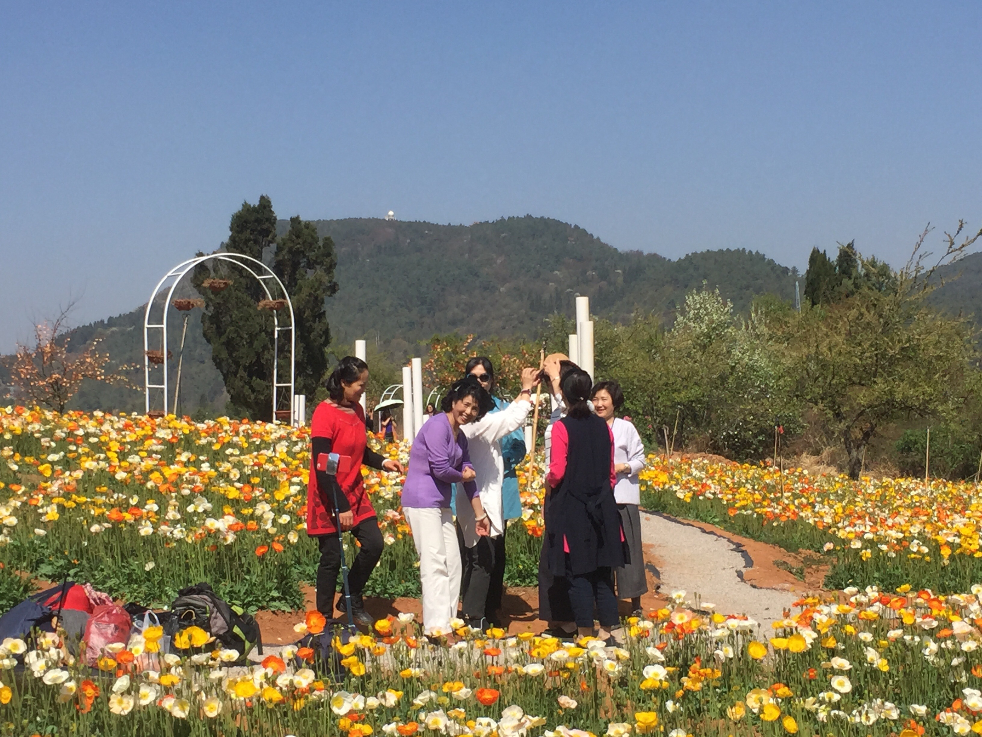 昆明名花谷风景区图片