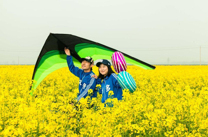 2018封丘油菜花盛開,第二屆油菜花生態旅遊節盛大開園