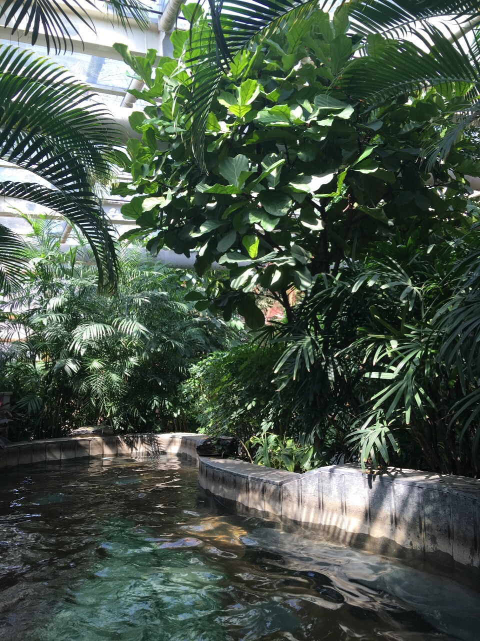 【携程攻略】北京南宫温泉好玩吗,北京南宫温泉景点怎么样_点评_评价