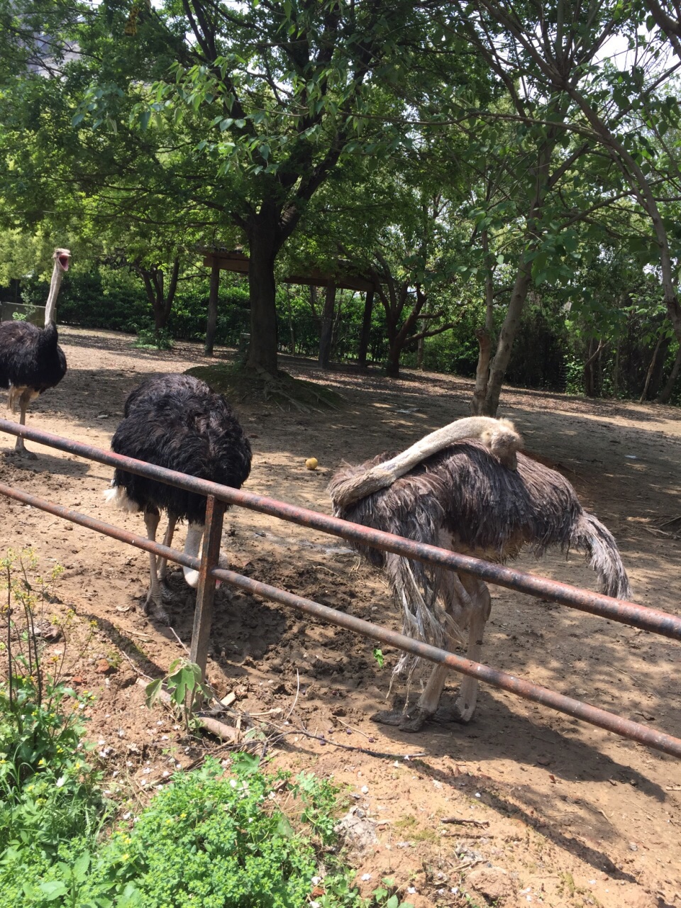 南昌動物園