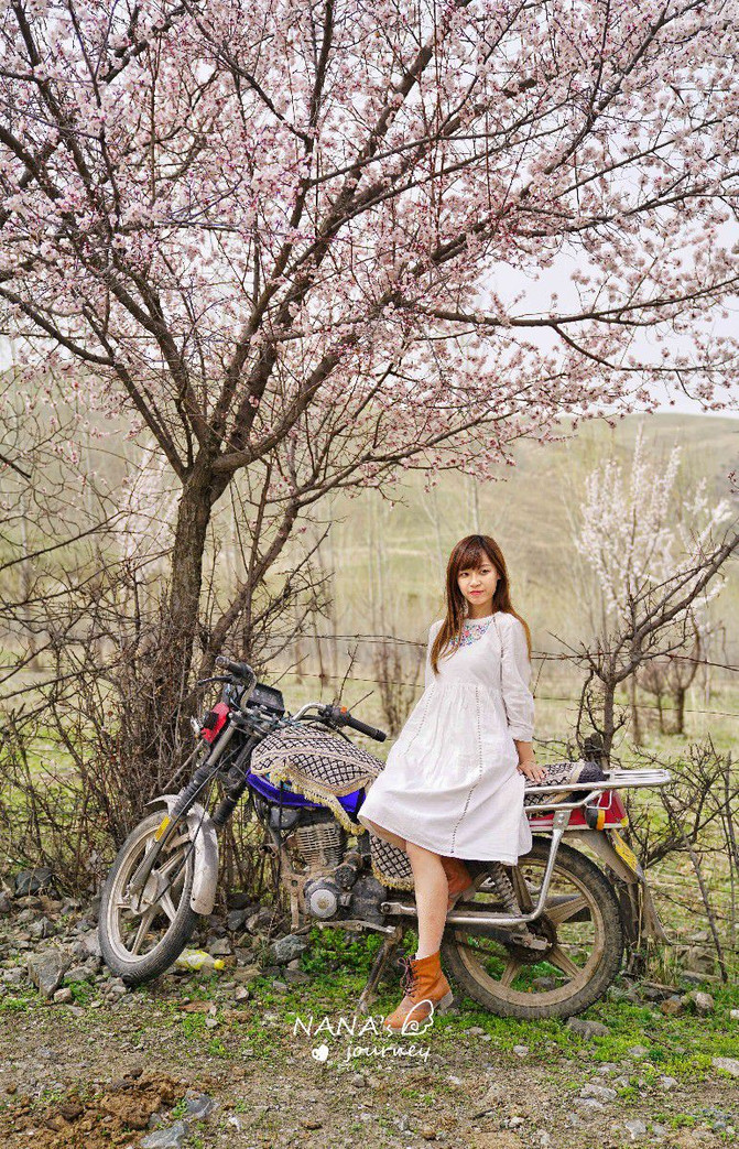 『花样人生,多彩新疆』重谱一篇春日的故事