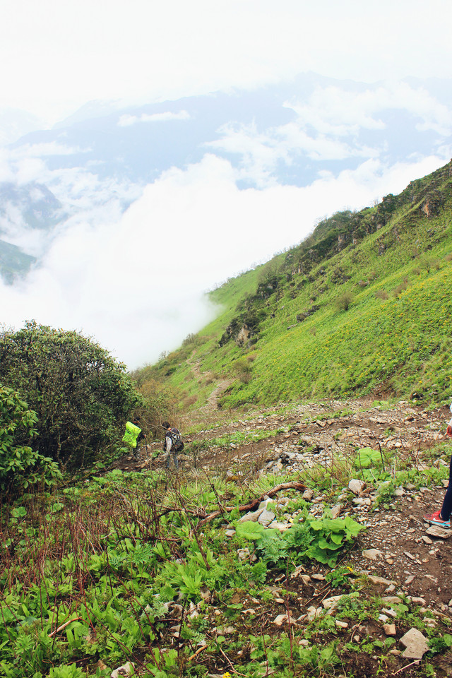彩虹歌∣九顶山徒步二日行记