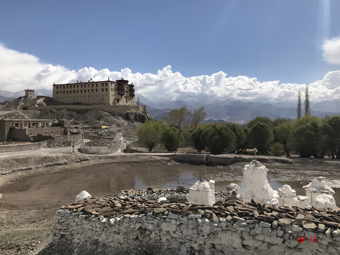 喜马拉雅另一边----噶伦堡,大吉岭,加济兰加到拉达克----印度纪行(1)