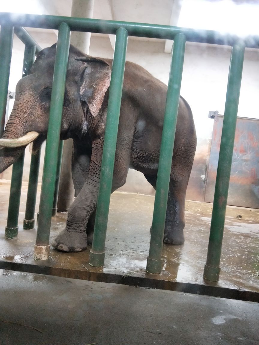 長沙生態動物園