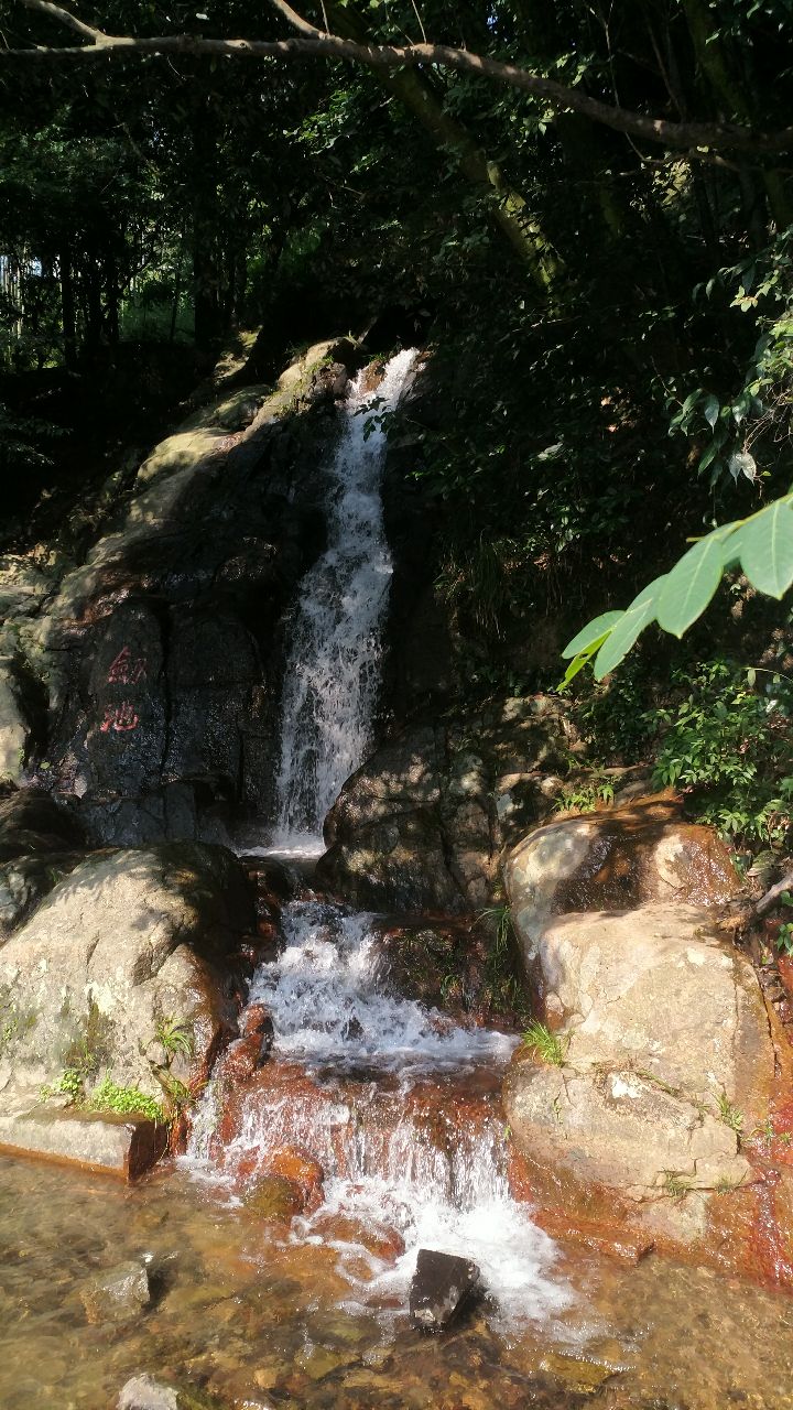 莫干山景區旅遊景點攻略圖