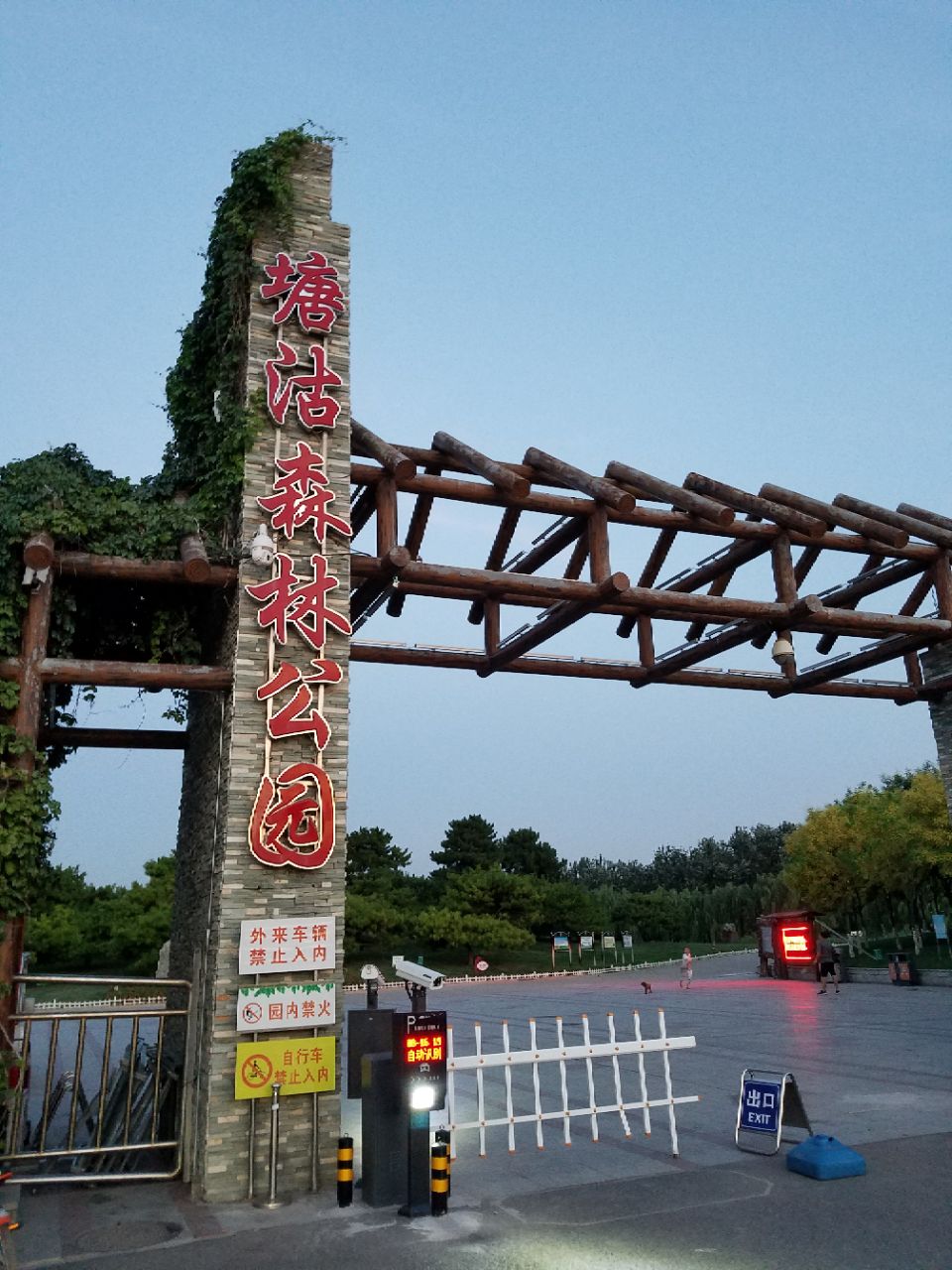 天津塘沽森林公園