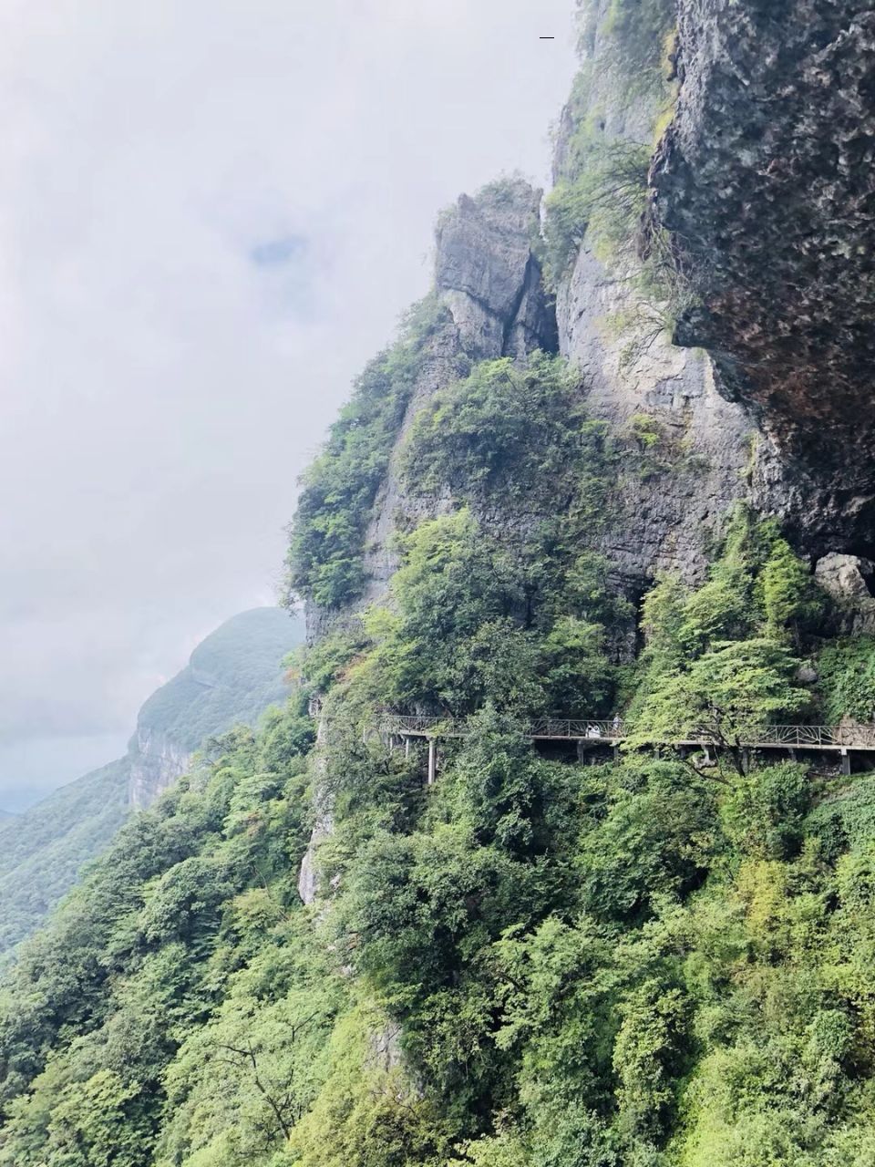 金佛山北坡景区