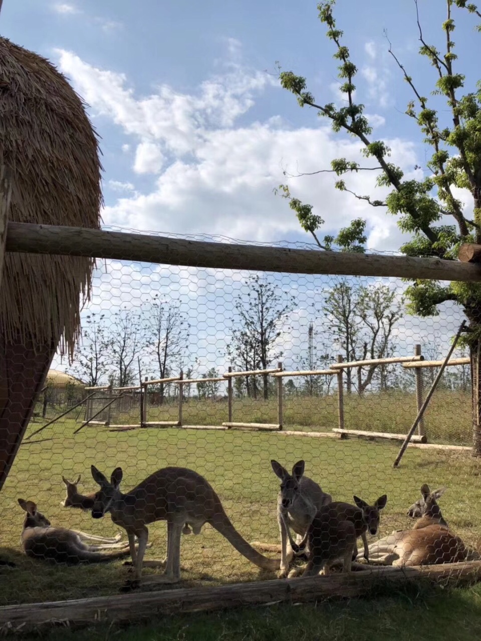 南通森林野生動物園