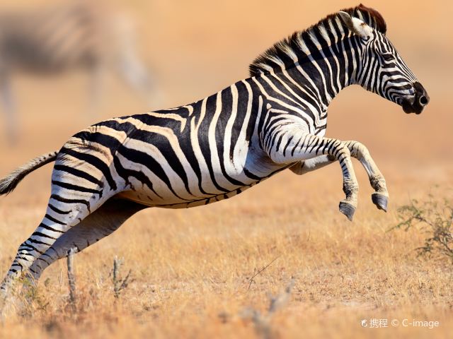 克留格尔国家公园