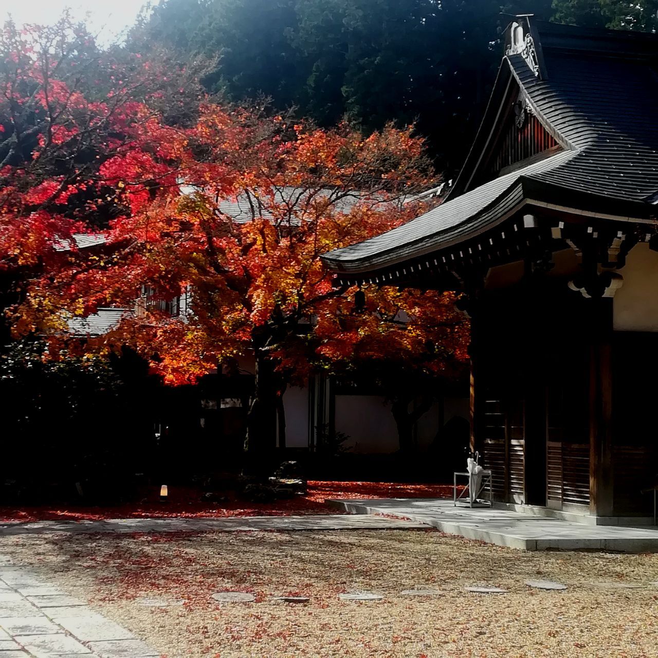 日本熊野古道 | 探寻藏在秘境之中的朝圣之路 - 知乎