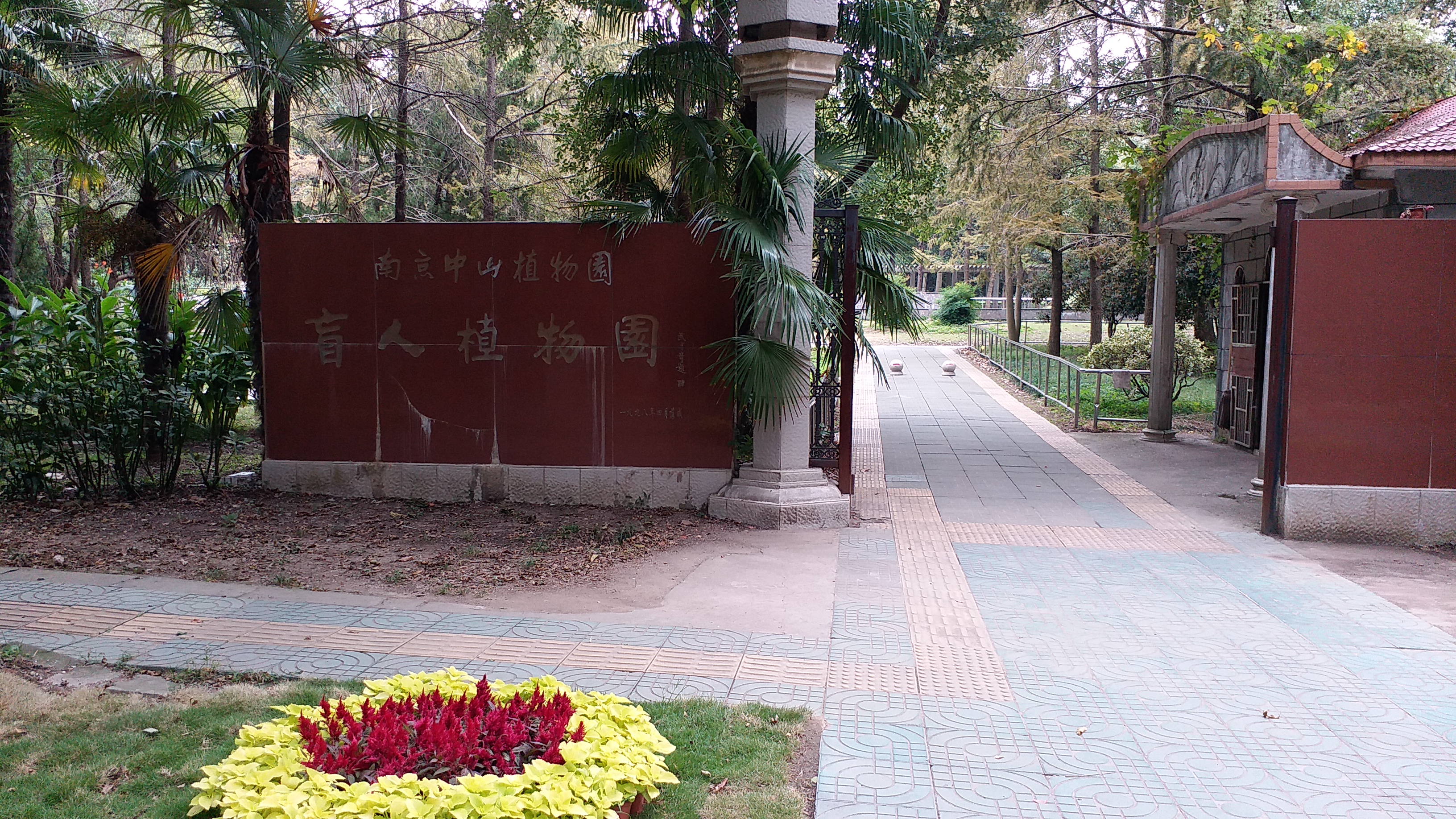 【携程攻略】南京中山植物园适合单独旅行旅游吗,中山植物园单独旅行