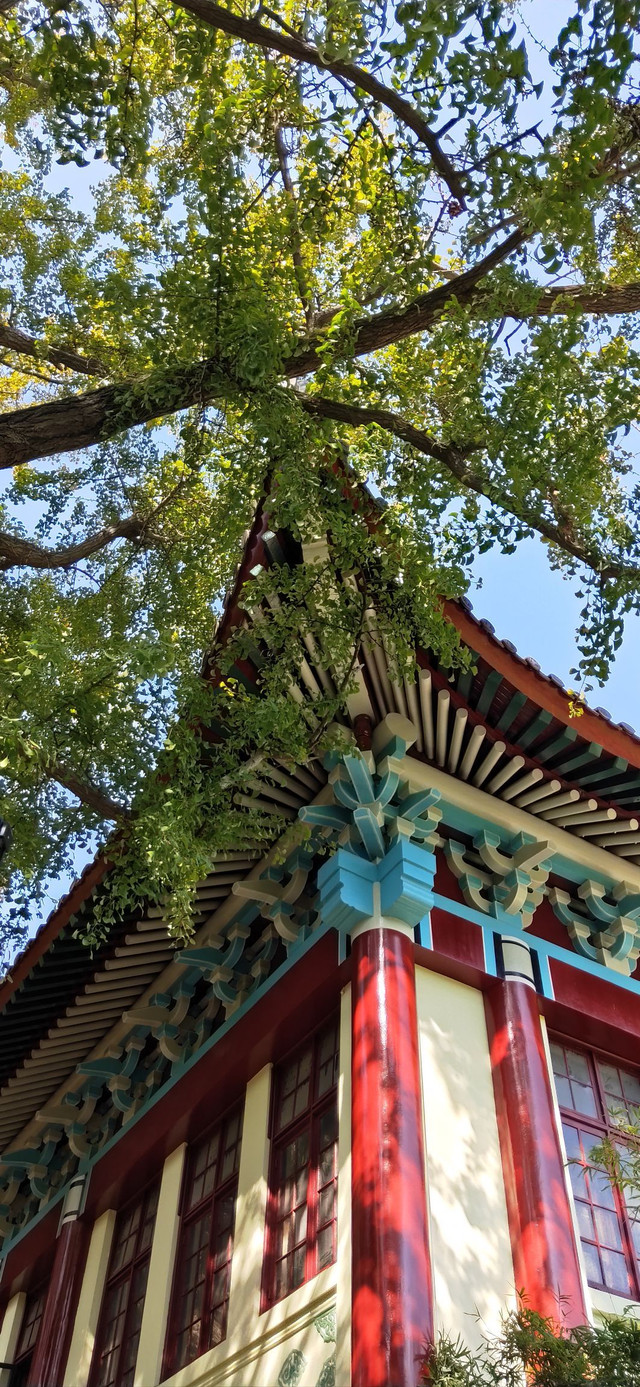 南师大随园校区
