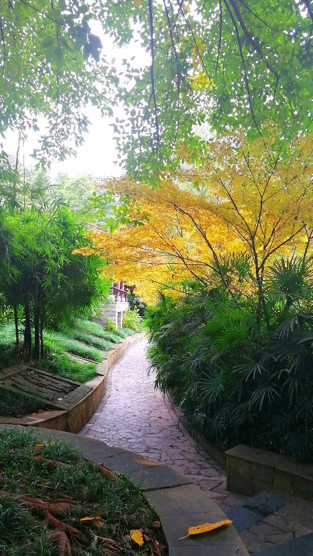 巴國城位於重慶市九龍坡區九龍園區,是以重慶本土文化巴文化為魂,從