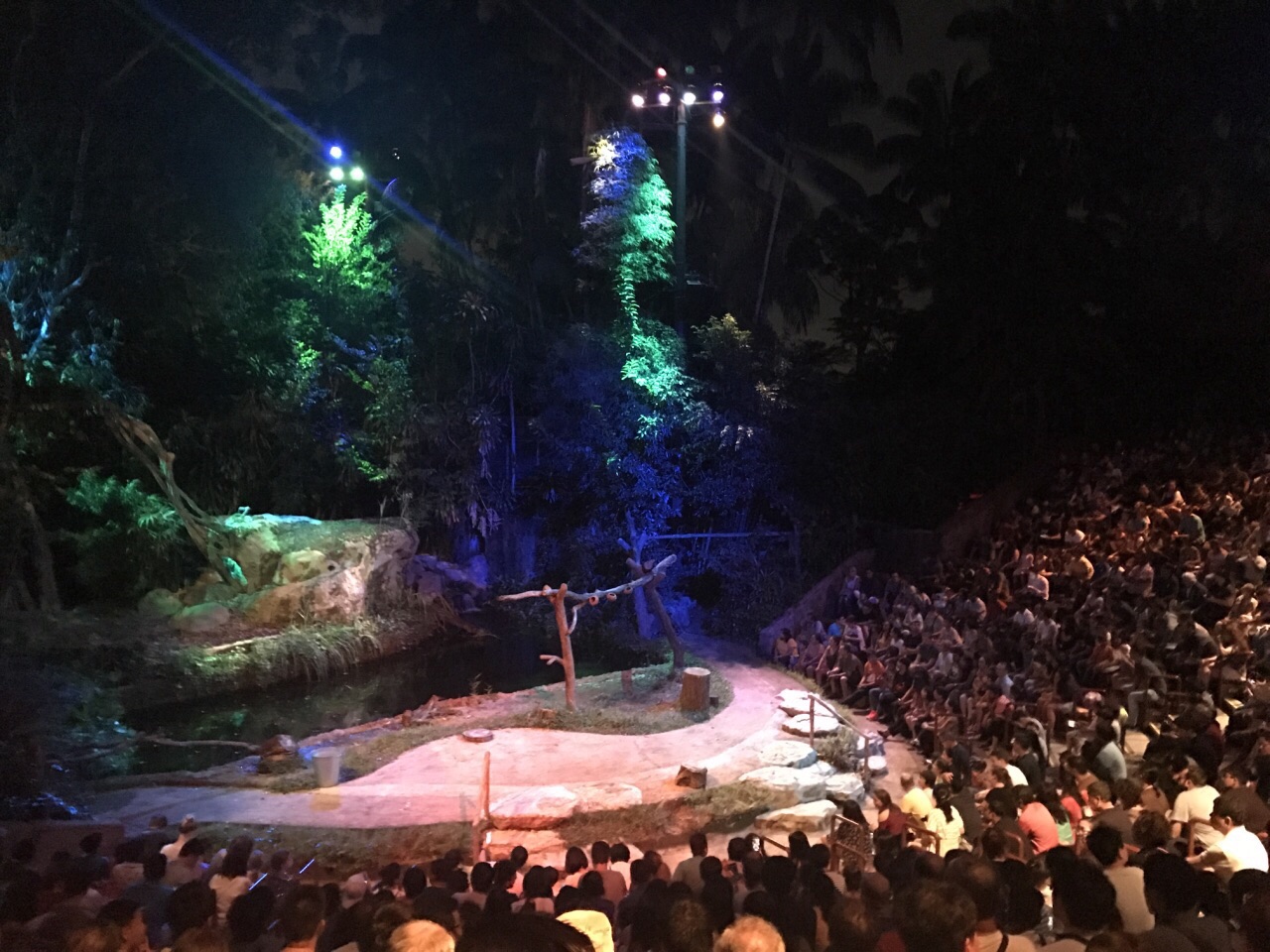 2023新加坡夜间野生动物园游玩攻略,Night Safari是一个令人紧张...【去哪儿攻略】