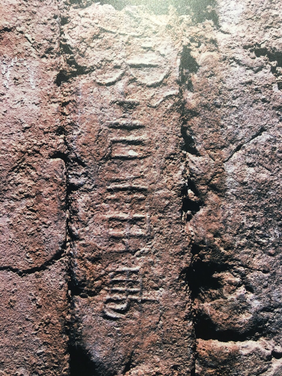 【携程攻略】香港李郑屋汉墓博物馆景点,李郑屋古墓是在1955年香港