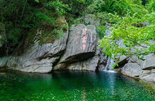 唐家河自然保护区