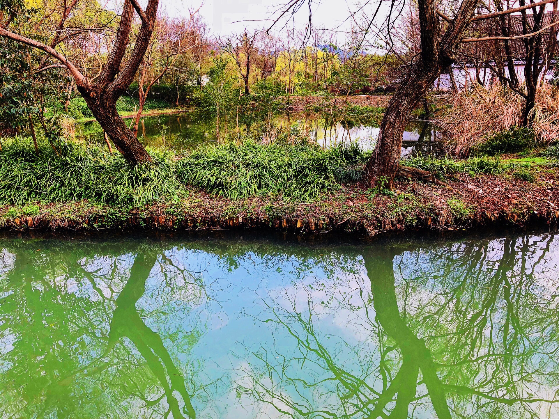 2024福堤游玩攻略,位于杭州西溪国家湿地公园内...【去哪儿攻略】