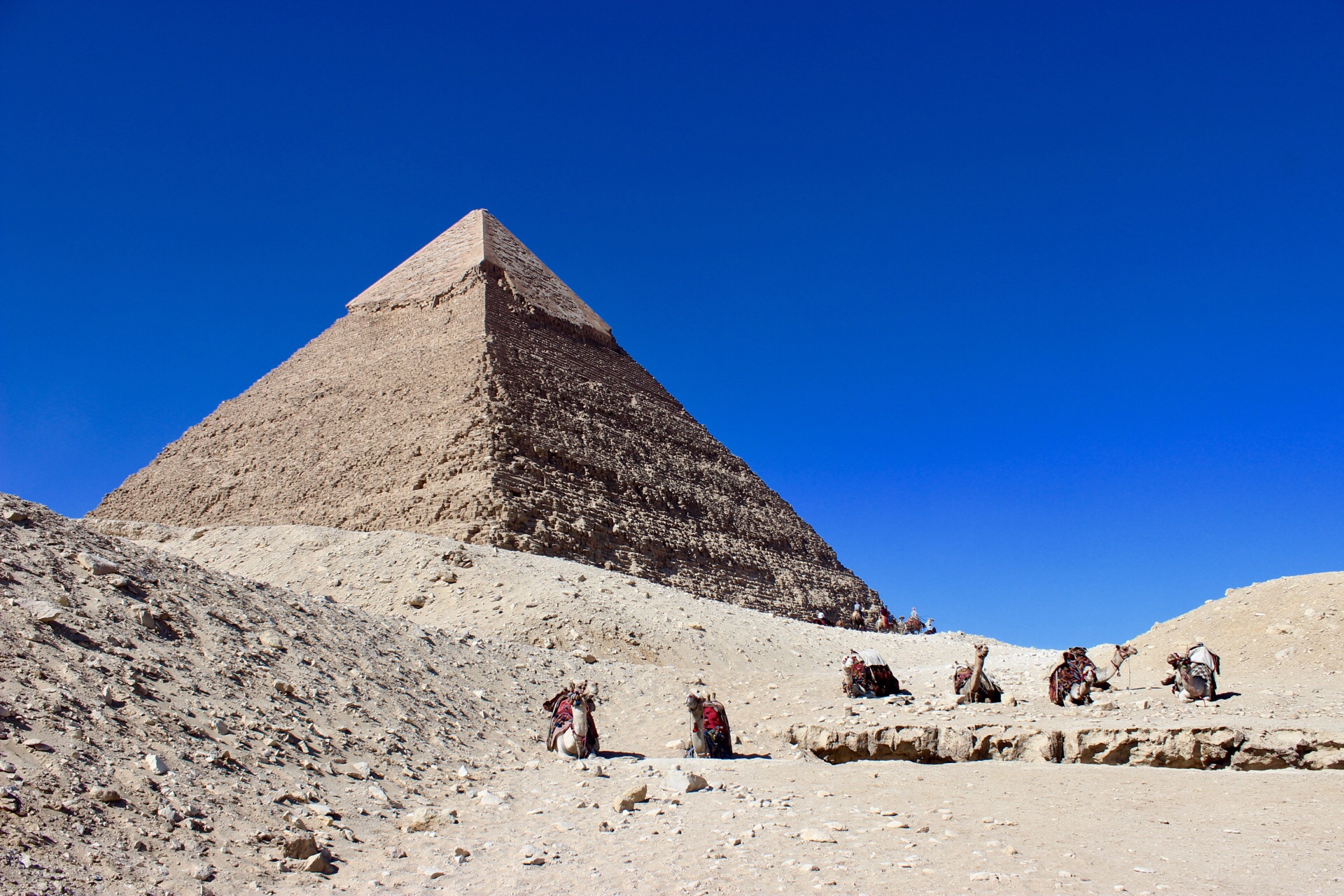 2019阶梯金字塔-旅游攻略-门票-地址-问答-游记点评，开罗旅游旅游景点推荐-去哪儿攻略