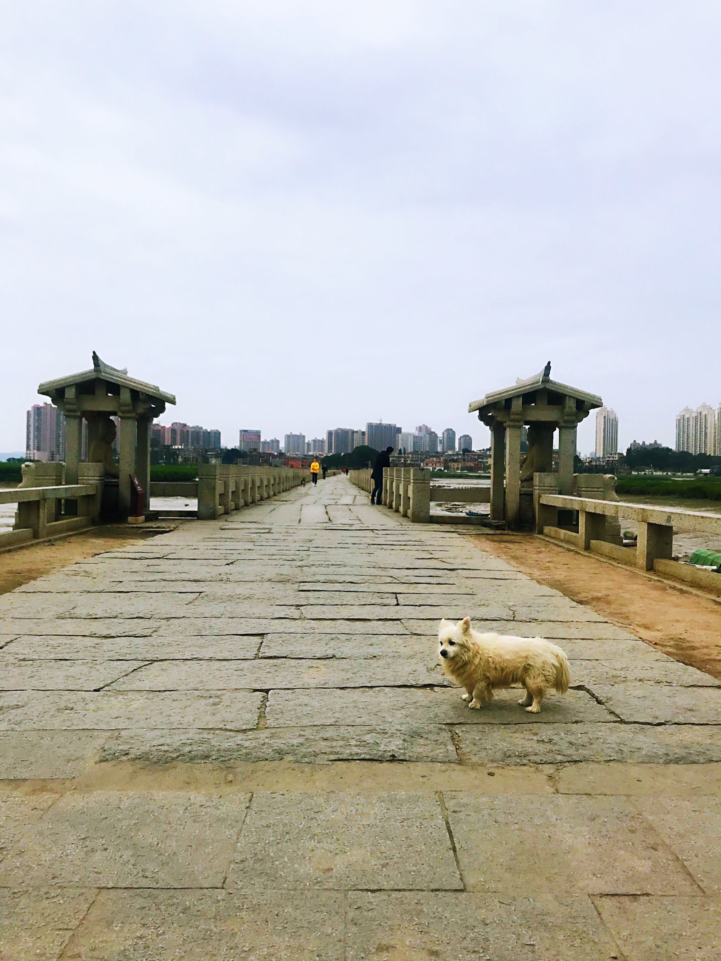 2023洛陽橋遊玩攻略,洛陽橋,原名叫做萬安橋,是.【去哪兒攻略】