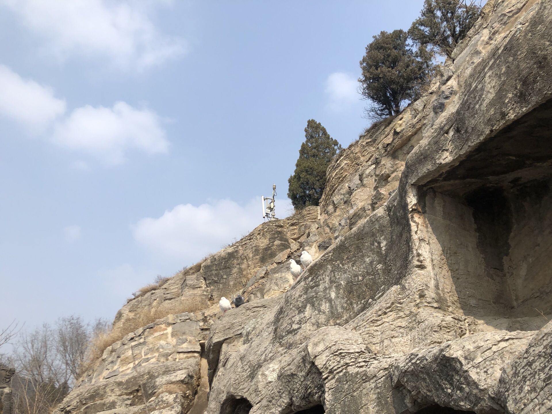 十三朝古都洛阳景点游
——龙门石窟之东山石窟

2羵5