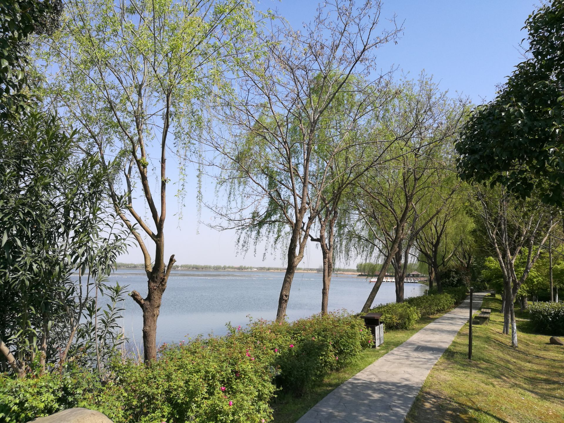 【携程攻略】上海青西郊野公园景点,这家青西郊野公园，位于上海市青浦区的西面，距离市中心约60公里，车…