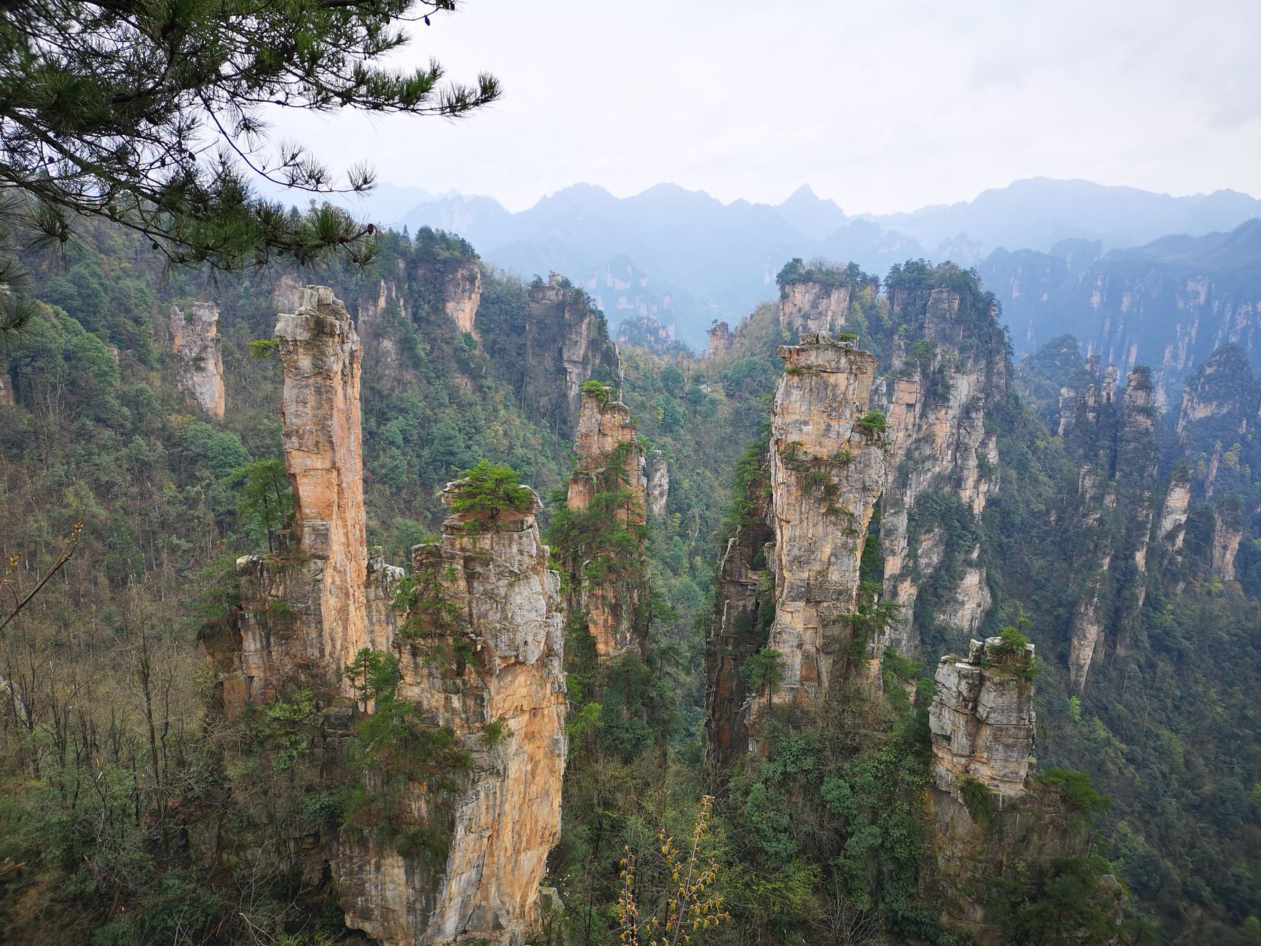 2019天子山_旅遊攻略_門票_地址_遊記點評,武陵源旅遊景點推薦 - 去