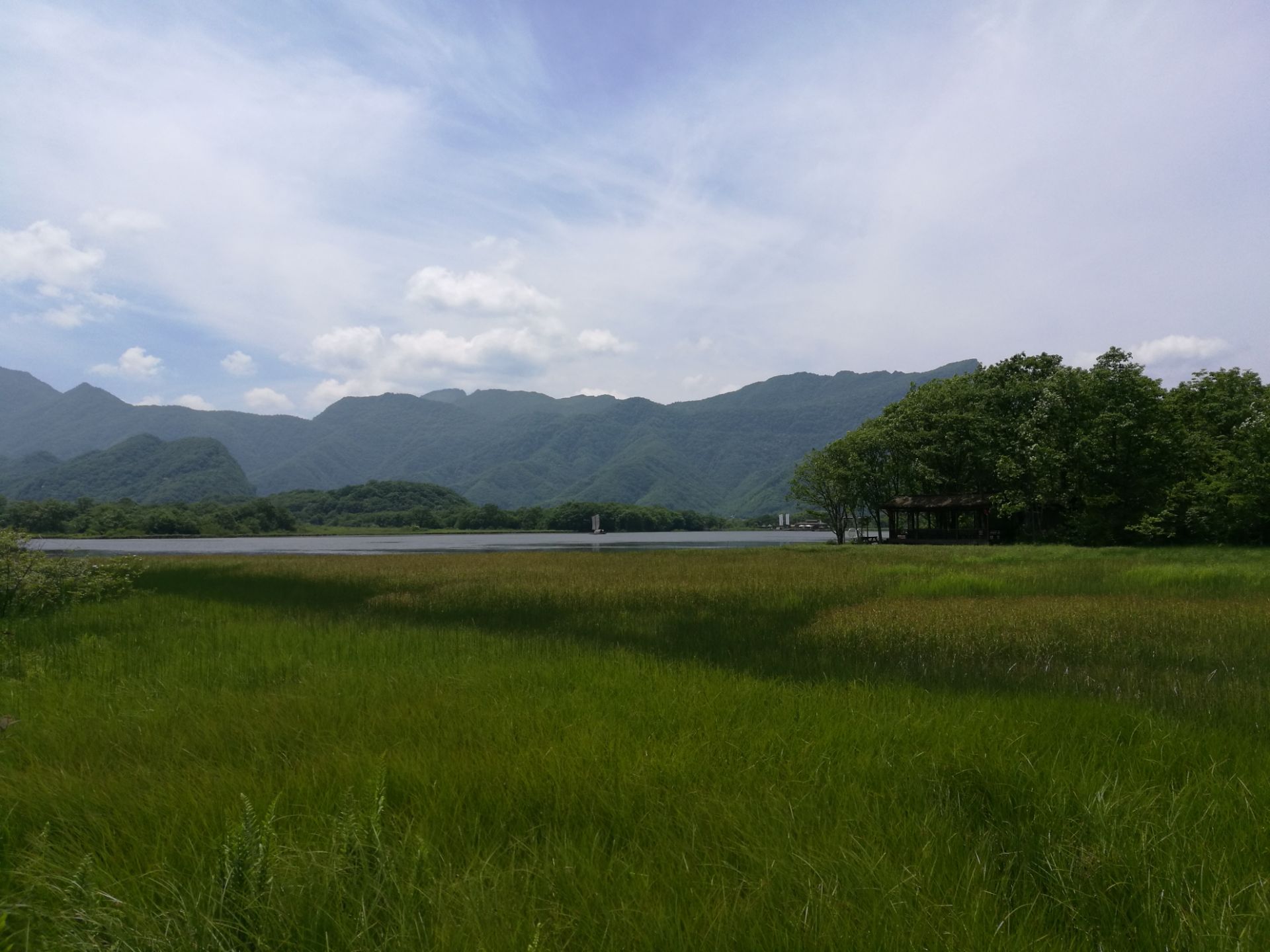 神农架大九湖旅游攻略(大九湖哪几个湖值得走一走)