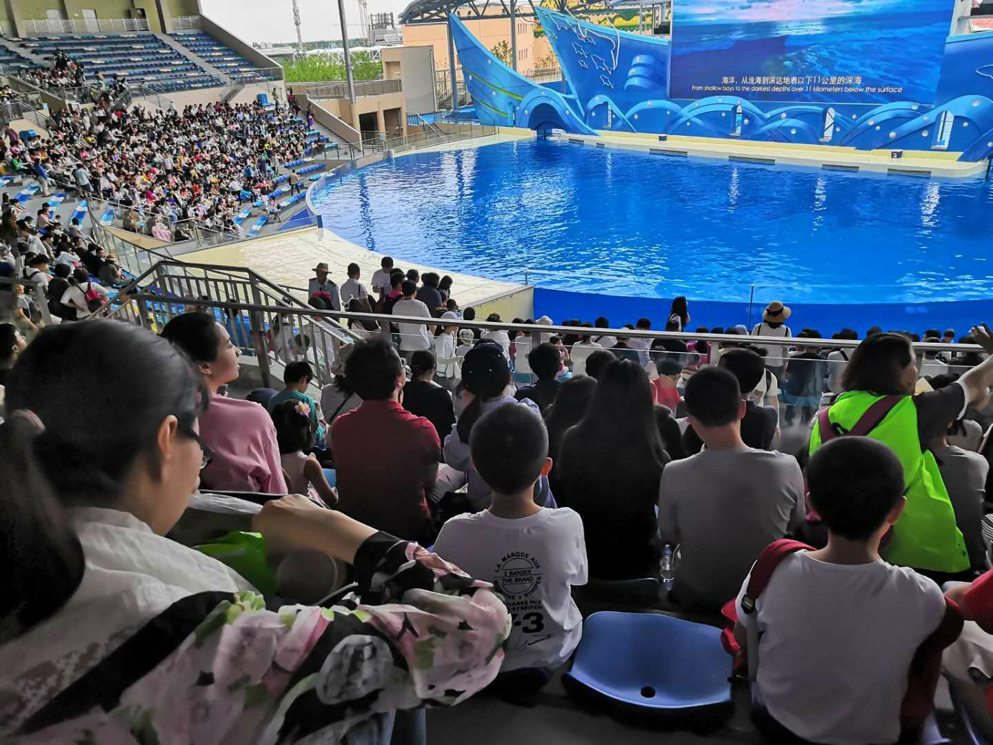 2023上海海昌海洋公园游玩攻略,海昌海洋公园里面实在是太大...【去哪儿攻略】