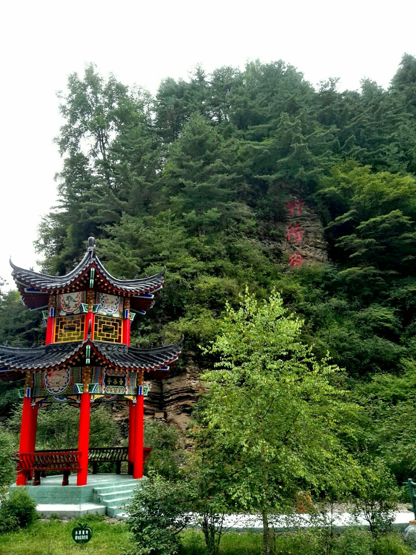 泾源县野荷谷风景区:位于宁夏回族自治区泾源县城西8公里处,为一南北