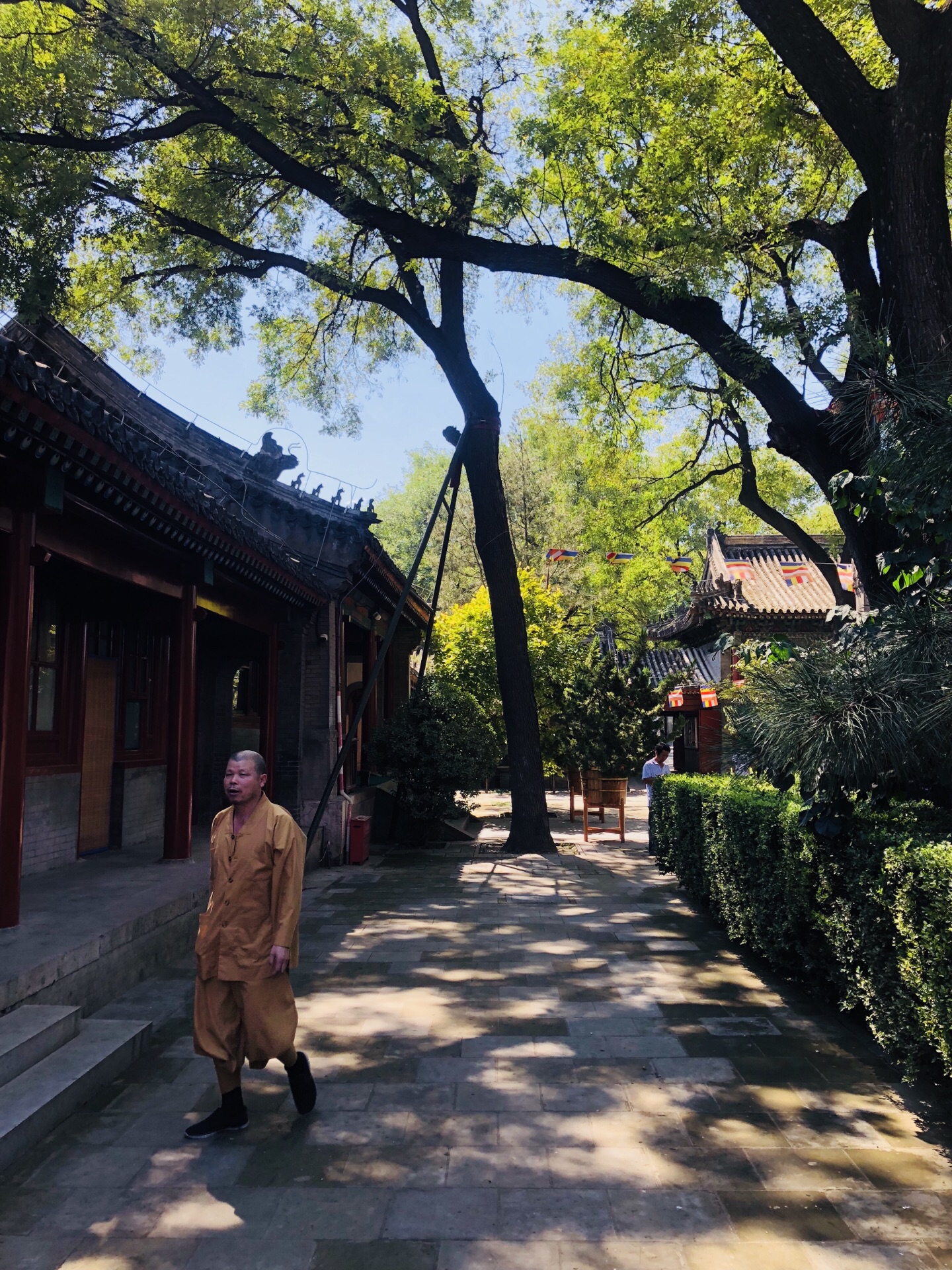 北京广济寺超度价格-北京广济寺简介和历史