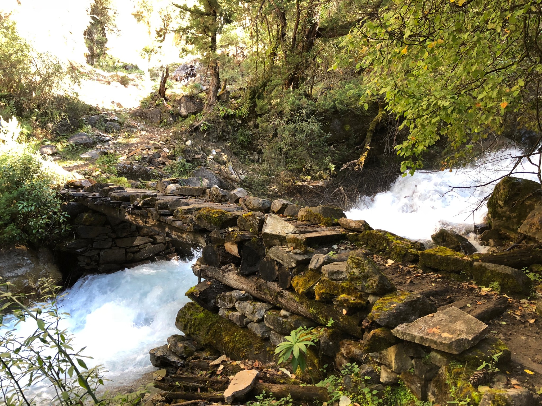稻城卡斯地狱谷攻略,稻城卡斯地狱谷门票/游玩攻略/地址/图片/门票