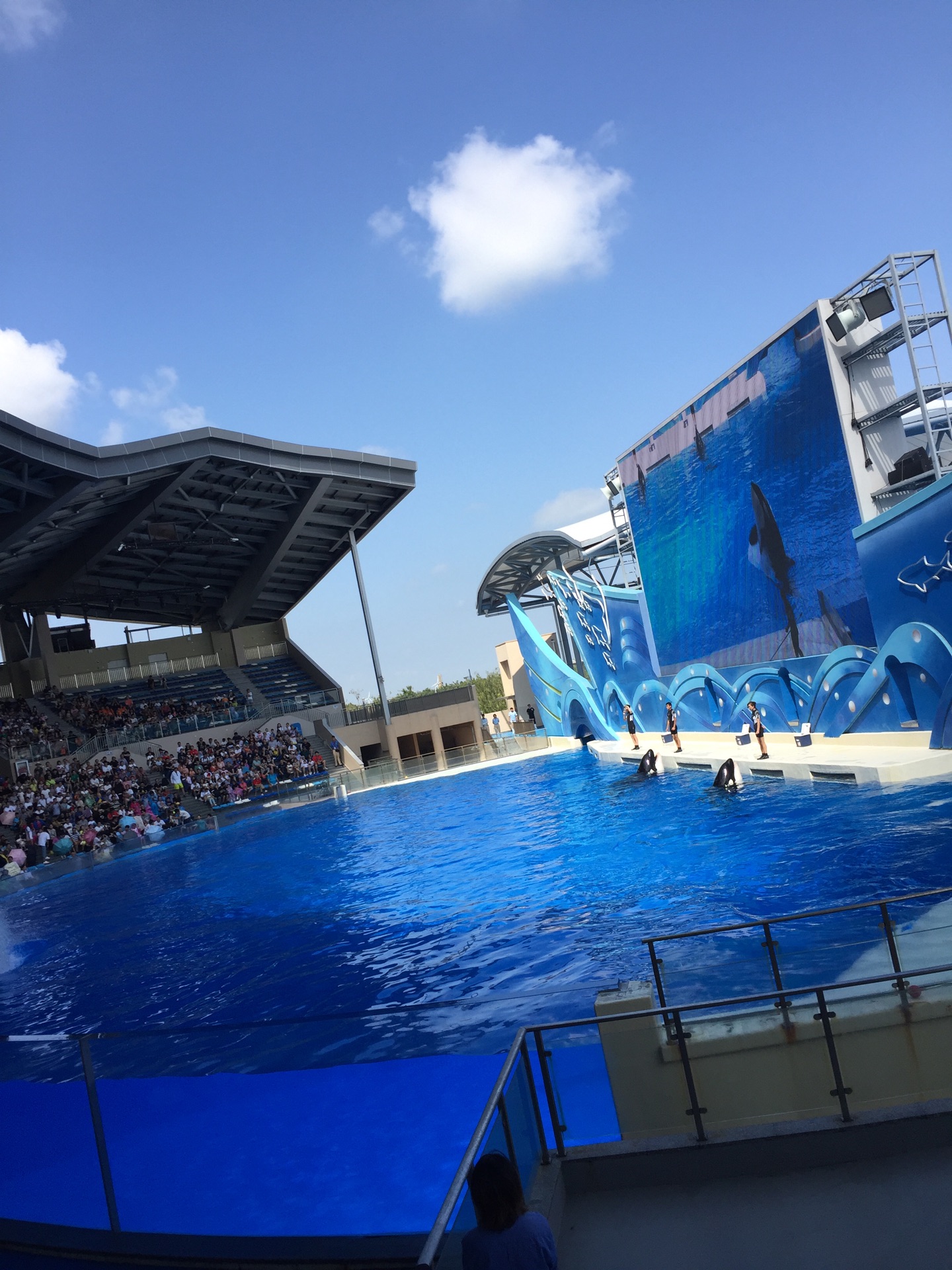 上海海昌海洋公園