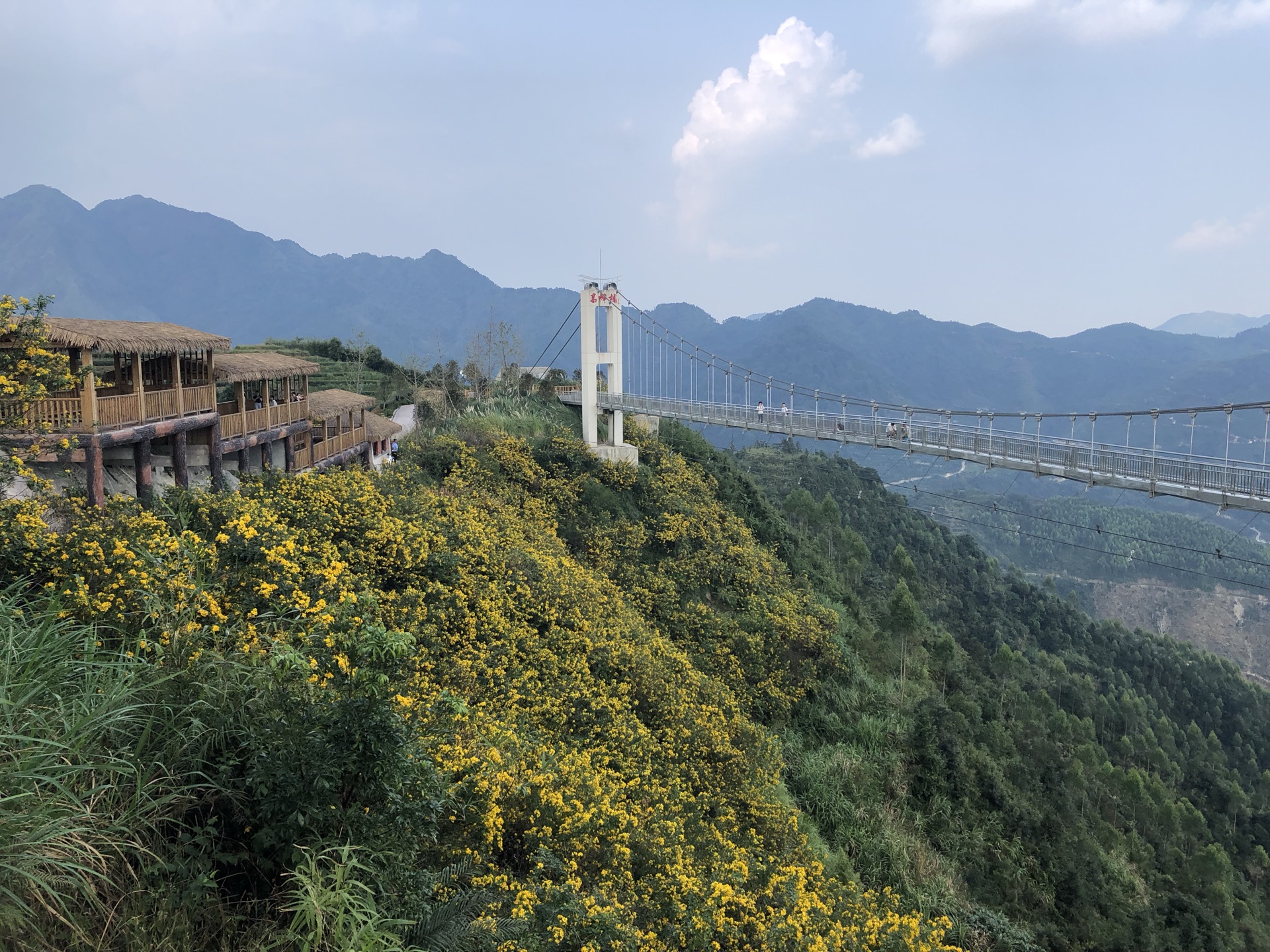 漳州平和高峰谷图片