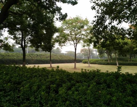 2022福康宁公园门票,新加坡福康宁公园游玩攻略,福康宁公园游览攻略路线/地址/门票价格-【去哪儿攻略】