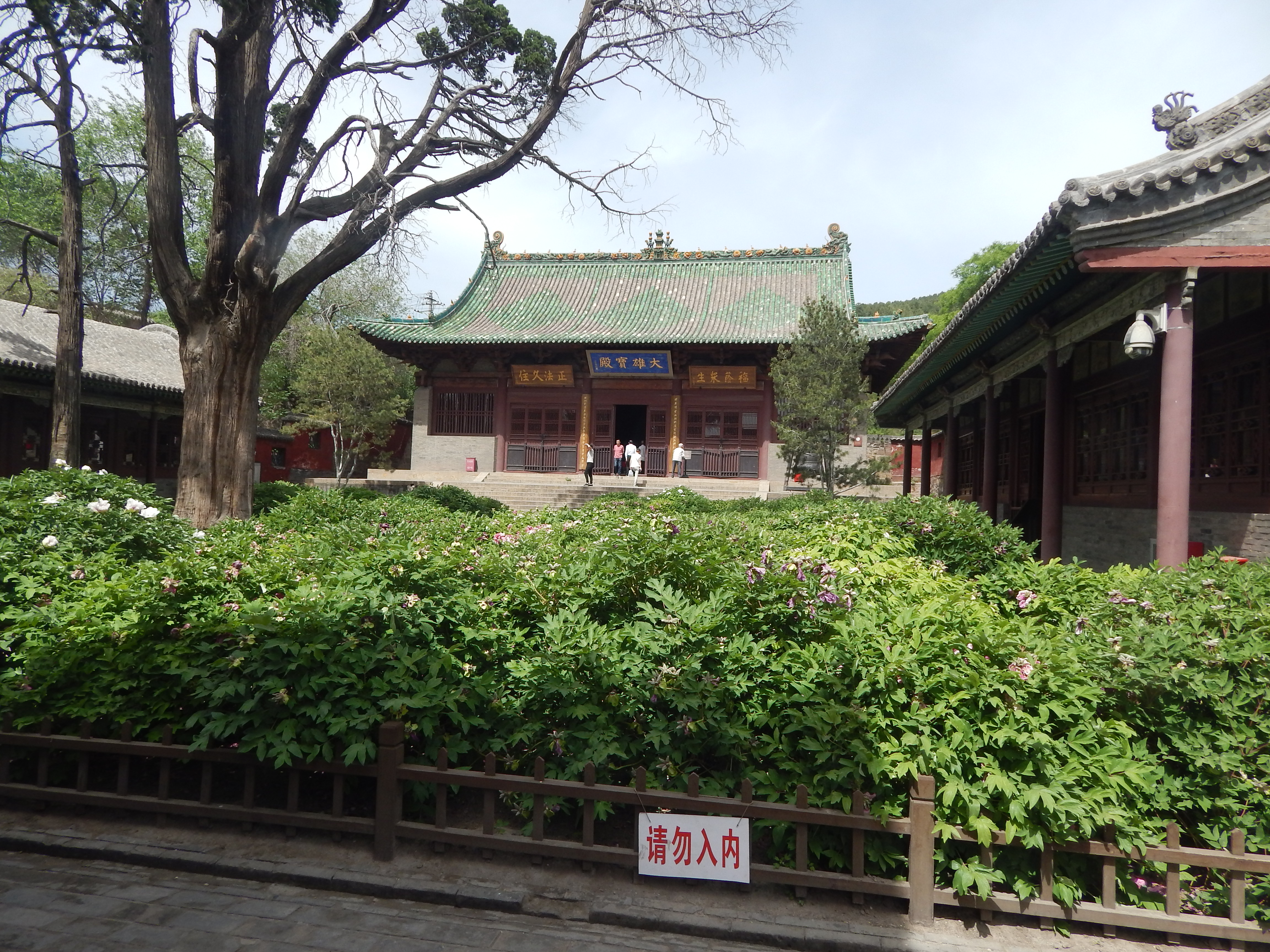 十方奉圣禅寺fengsheng temple