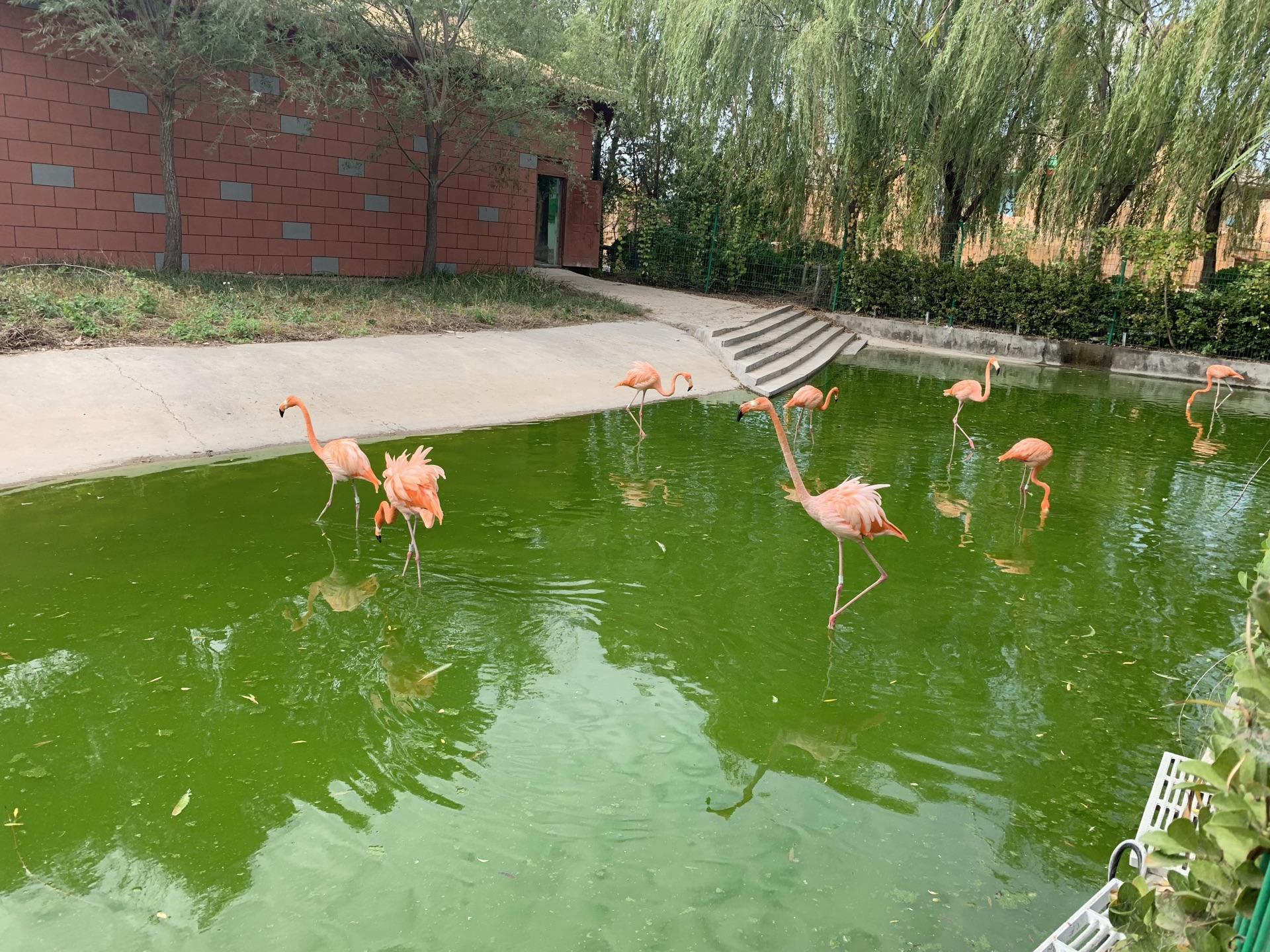 東營動物園