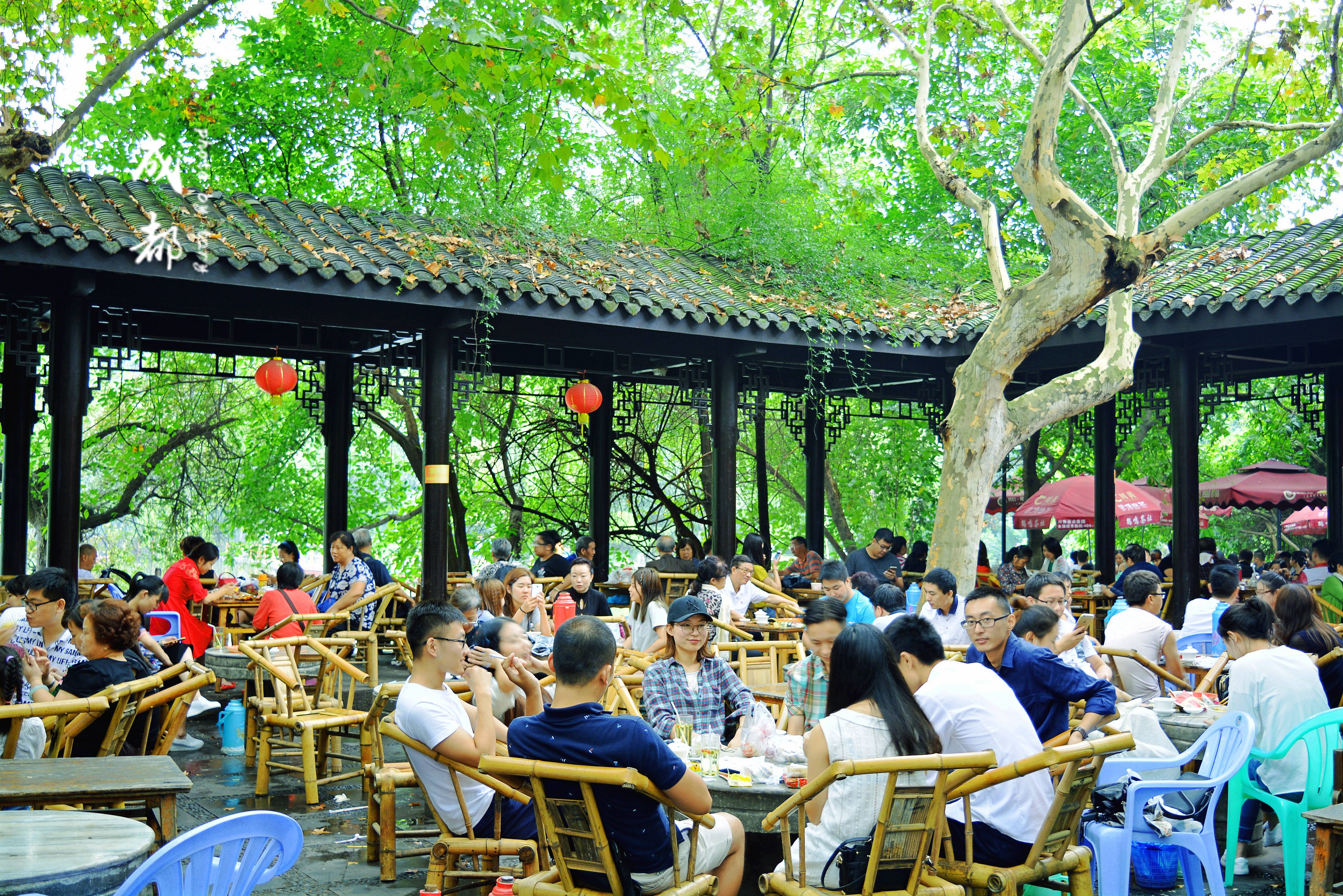 成都人民公园攻略,成都人民公园门票/游玩攻略/地址/图片/门票价格