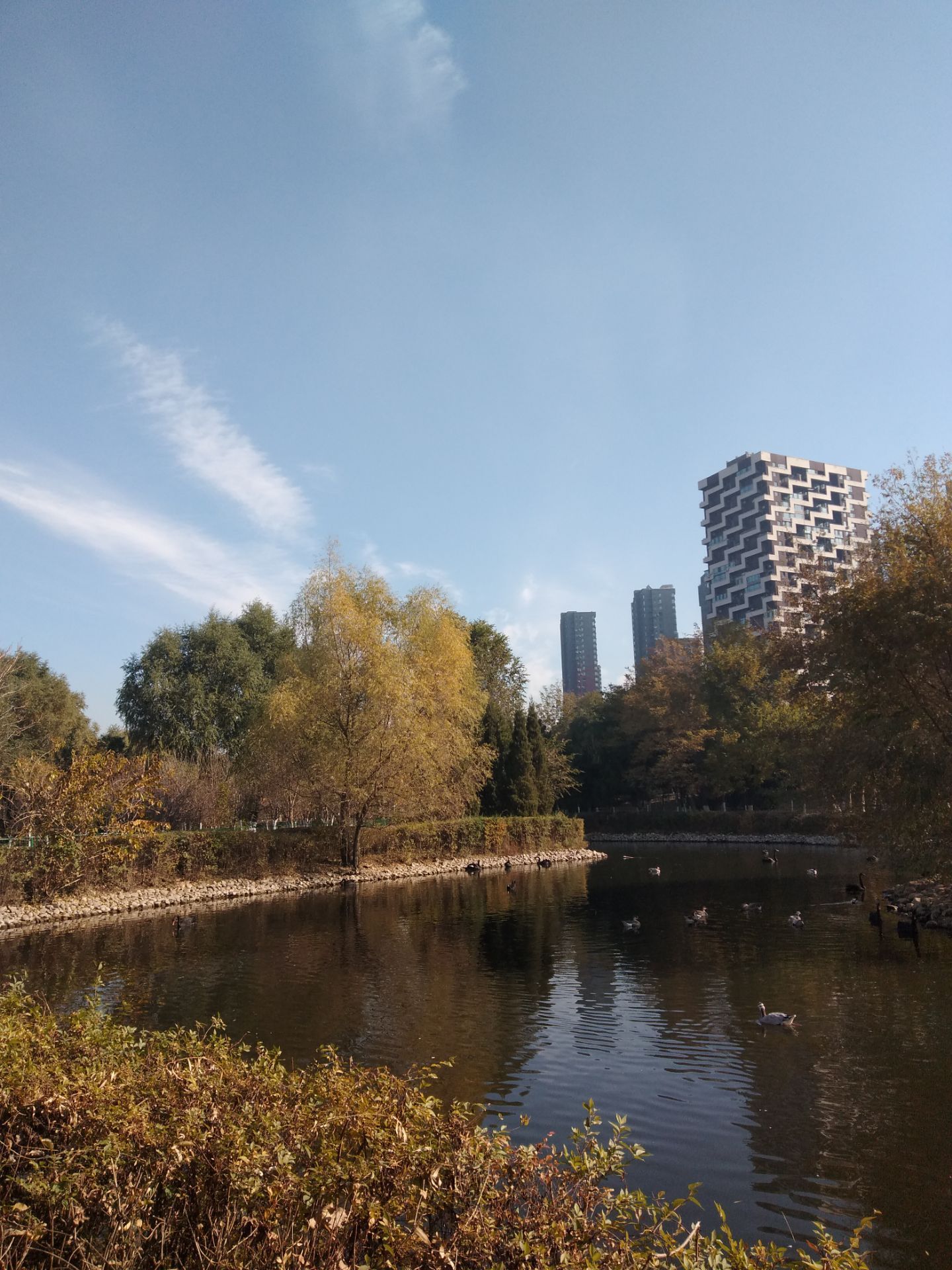 长白岛森林公园