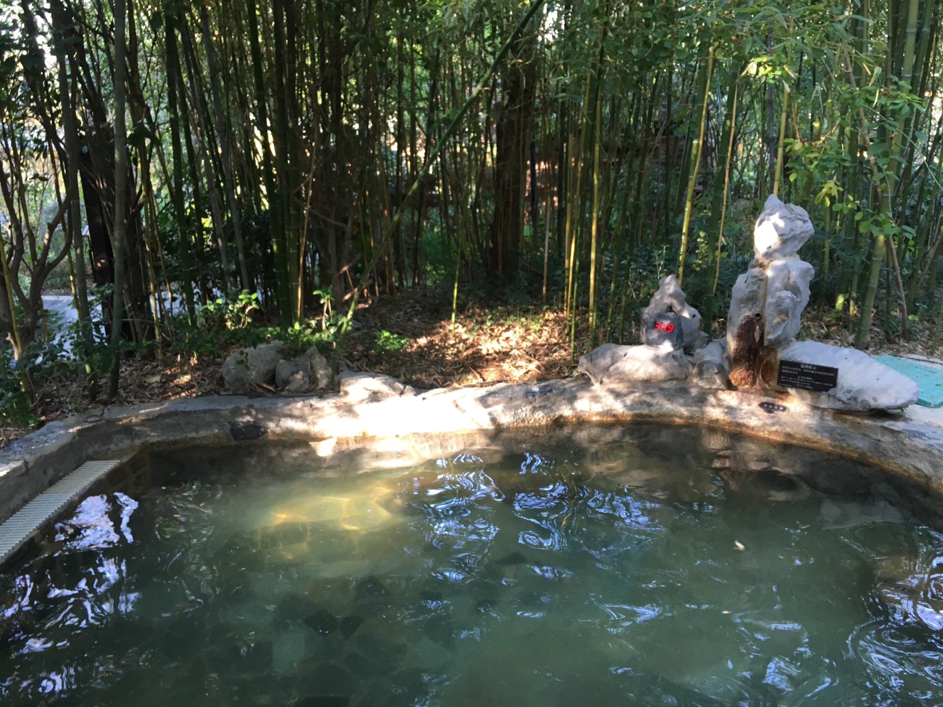 巢湖的半汤温泉非常出名听说以前是疗养院这里的温泉是真温泉不是烧的