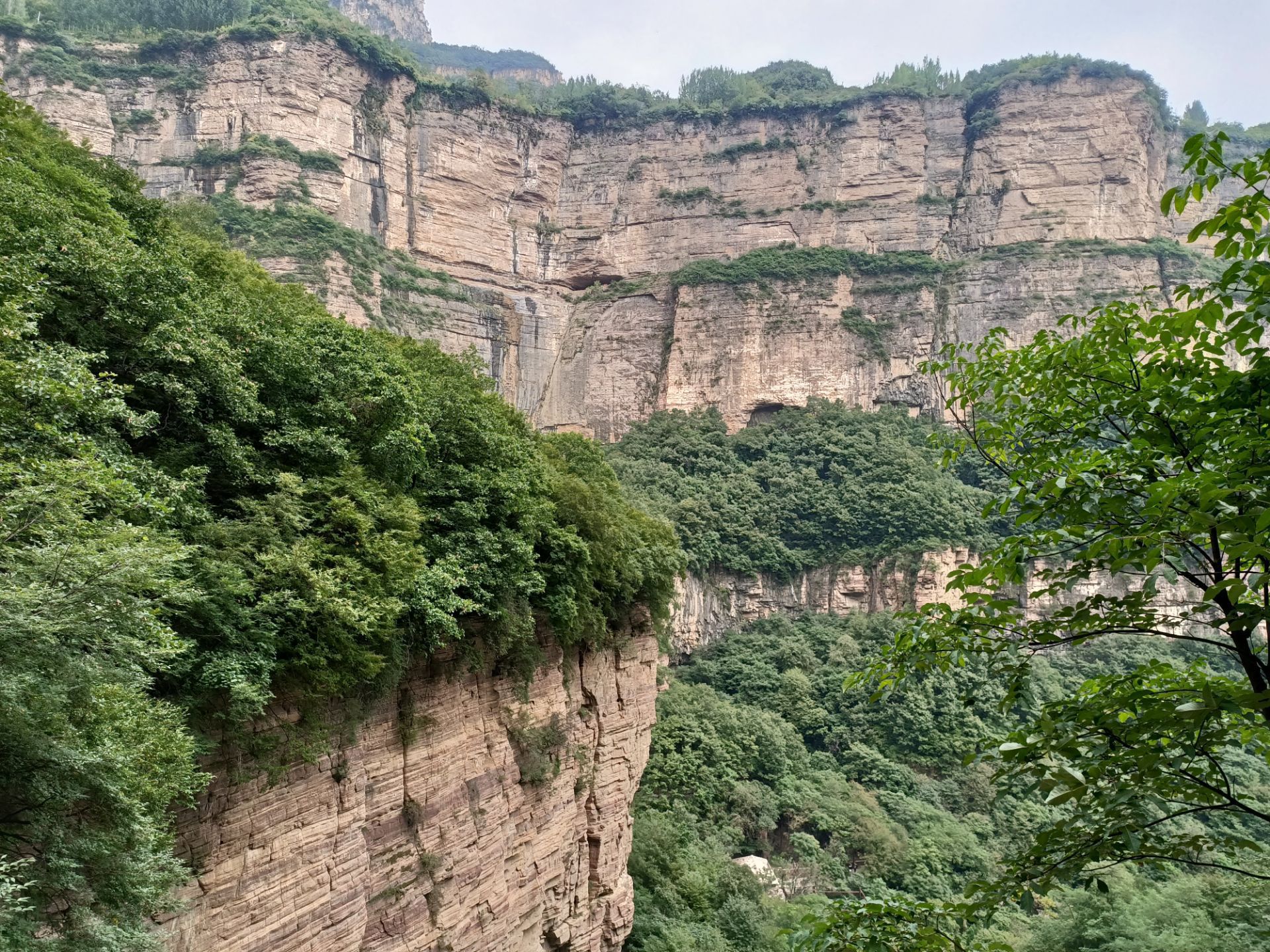 【攜程攻略】林州太行大峽谷景區景點,在大峽谷行走,經過了一段森林浴