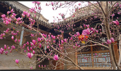 [林州游记图片] 向春天出发——2019,3，自驾、踏春。（一）安阳、红旗渠。