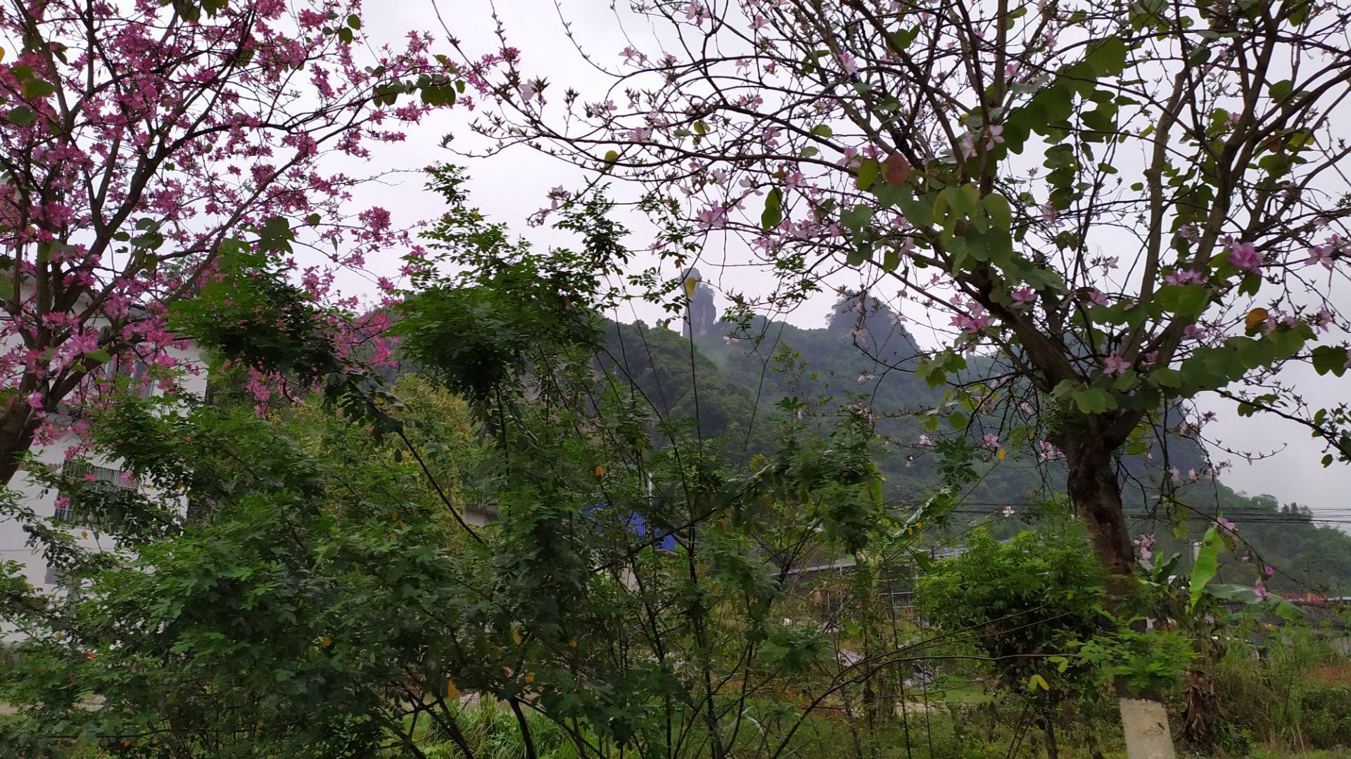 后天有人介绍这个叫东郎山,另外还有一座西郎山