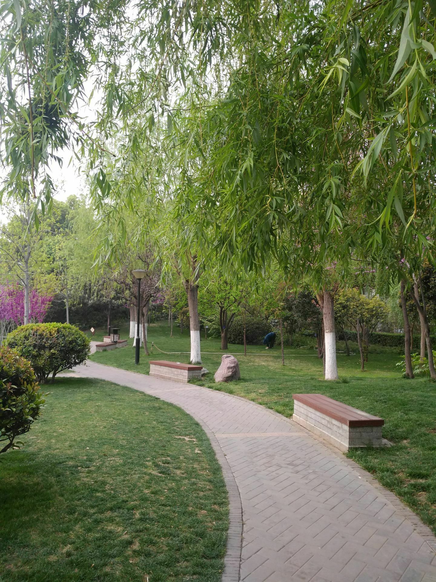 一舟影像:春天的紫荆山公园 原来可以这么美|紫荆山公园|郑州|公园_新浪新闻