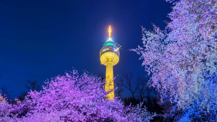 大邱大邱83塔攻略-大邱83塔门票价格多少钱-团购票价预定优惠-景点