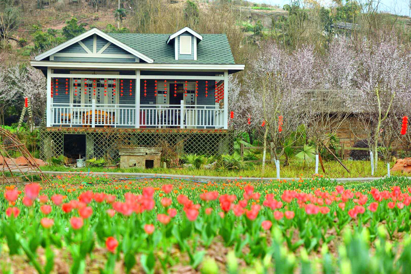 重庆北碚天台寺攻略,重庆北碚天台寺门票/游玩攻略/地址/图片/门票
