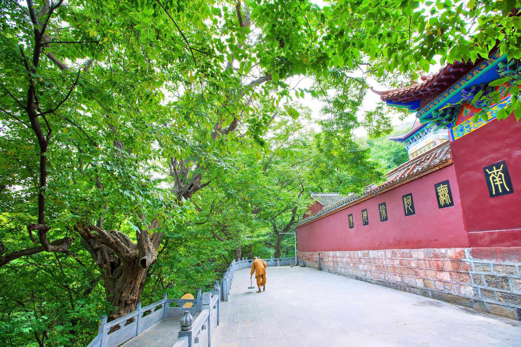 皇藏峪国家森林公园