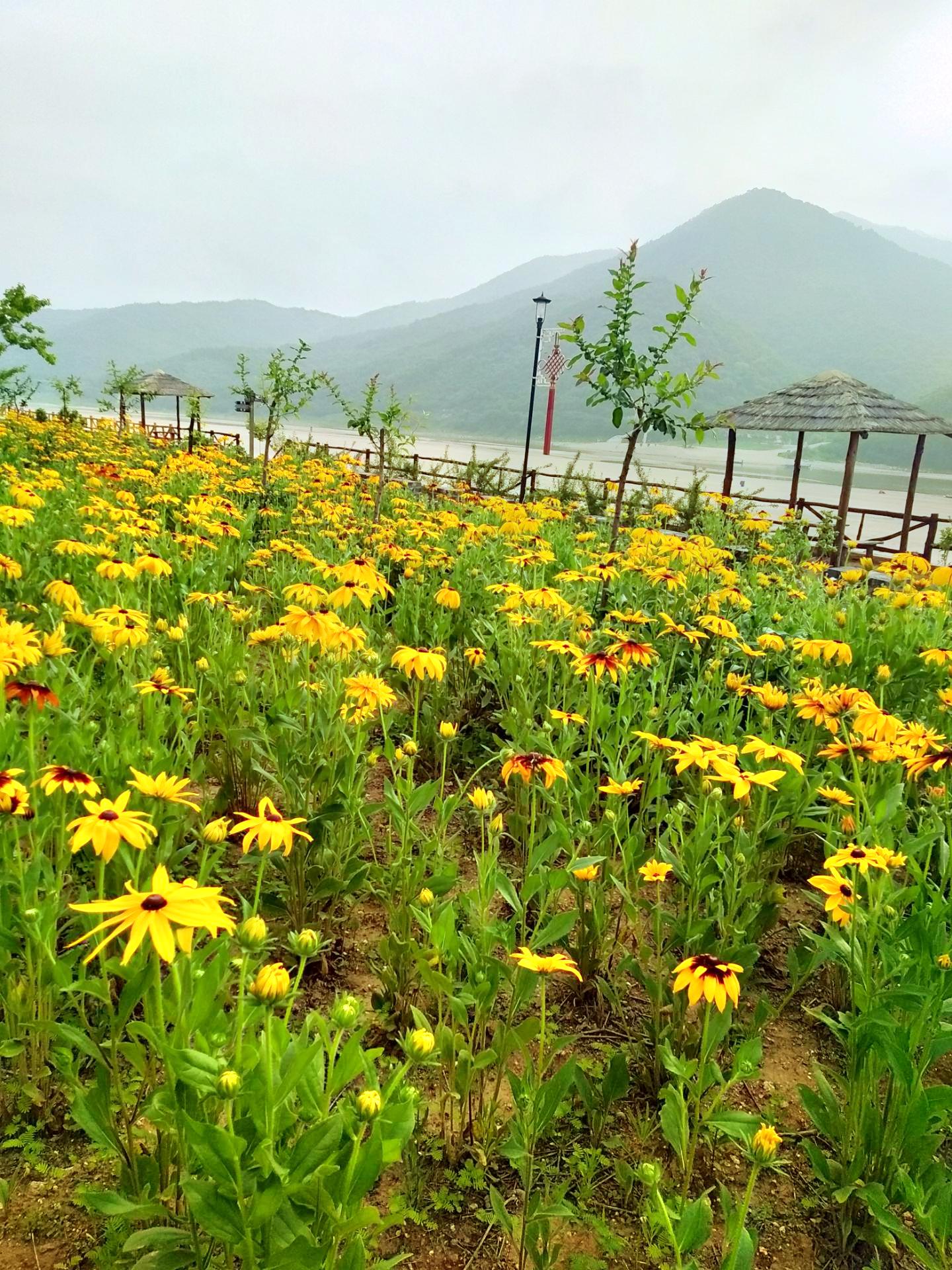 金沙谷风景区