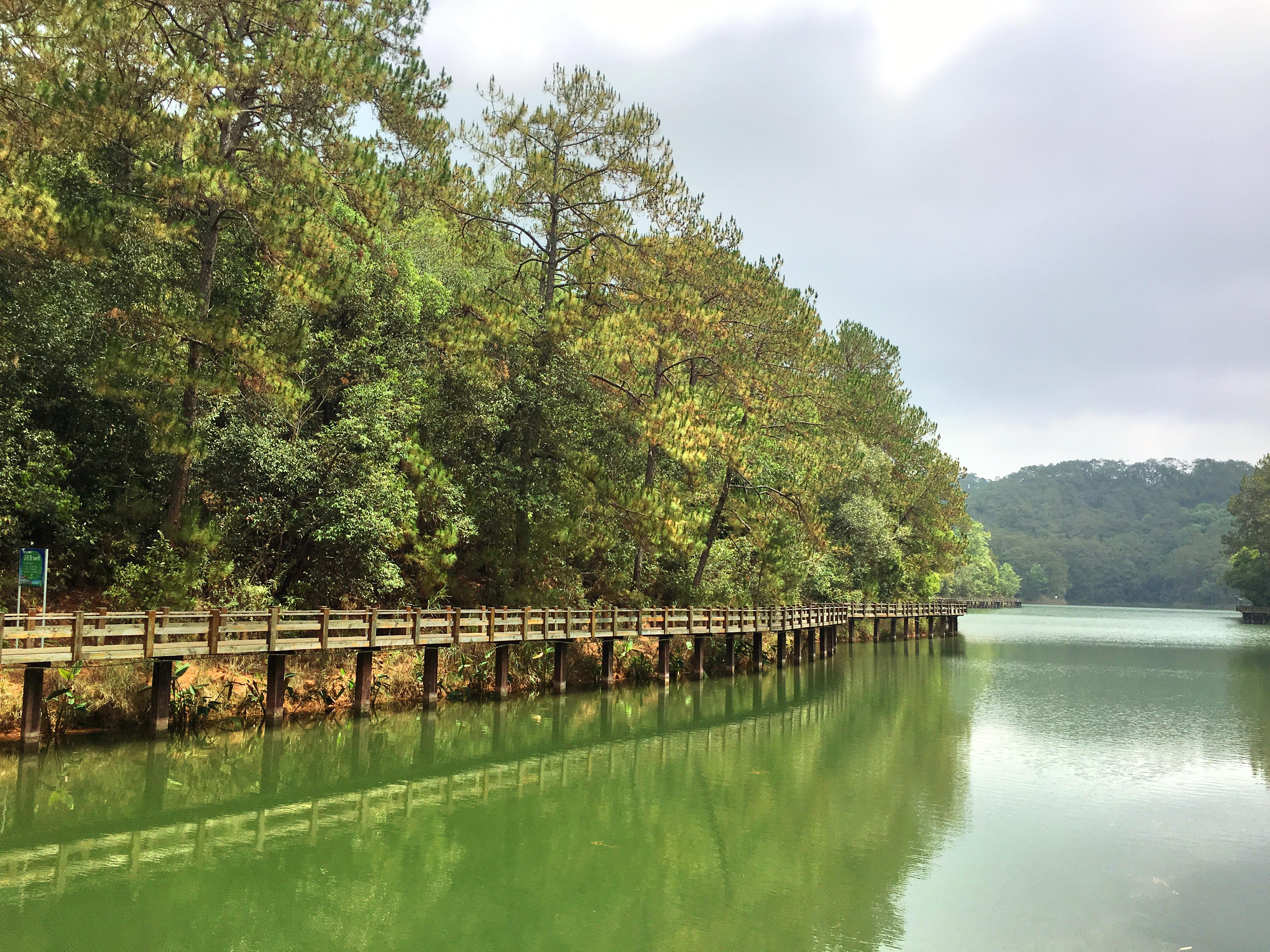 梅子湖棧道 直線距離8.2km