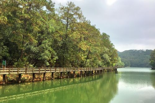 普洱梅子湖公园攻略